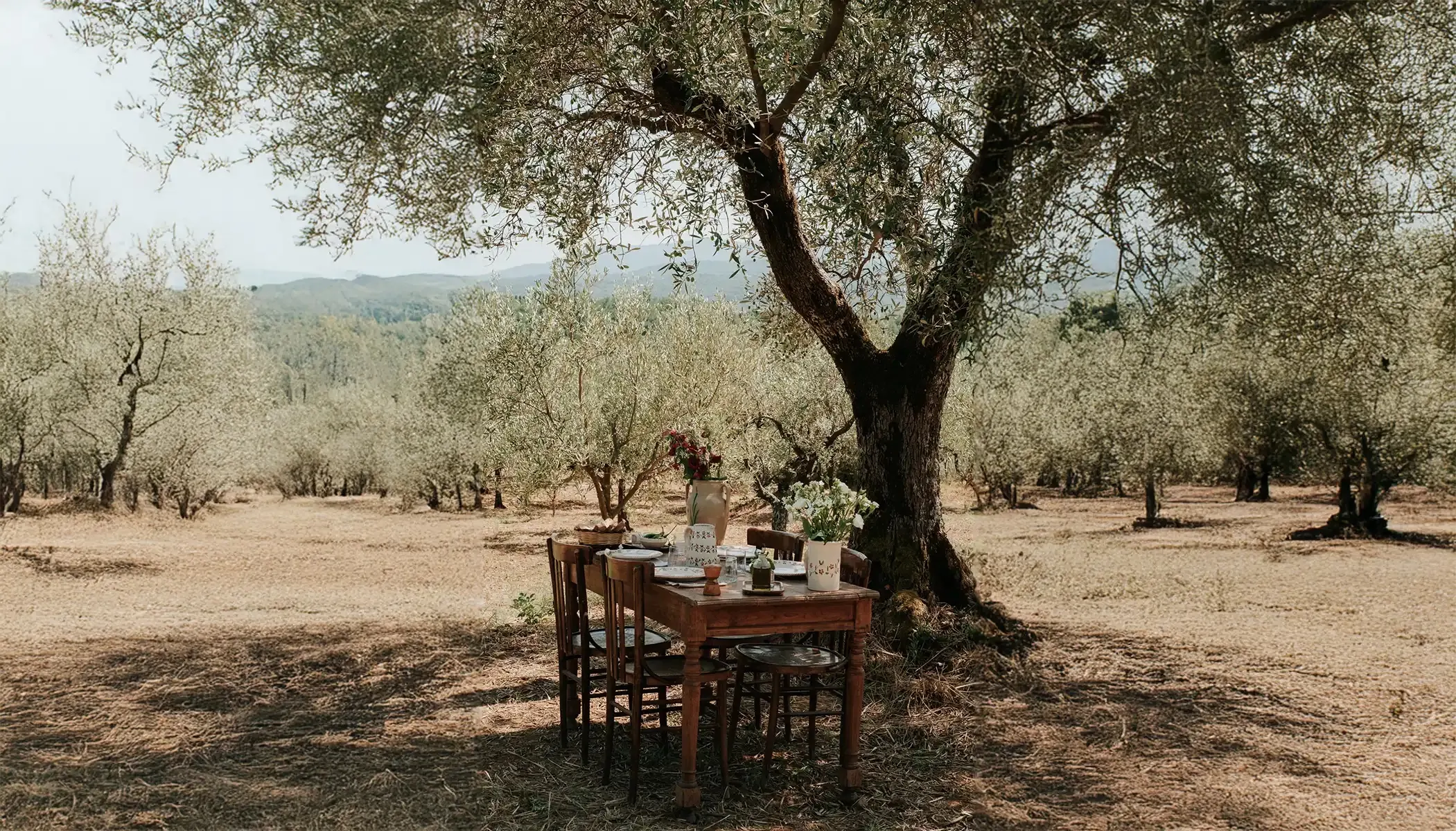 Une table dressée sous un olivier avec la vaisselle Nonno Mio peinte à la main