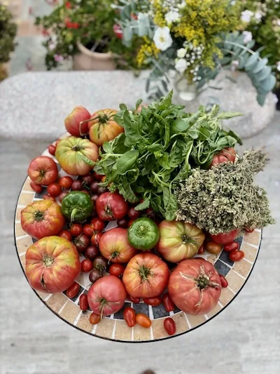 Panier de tomates et de basilic