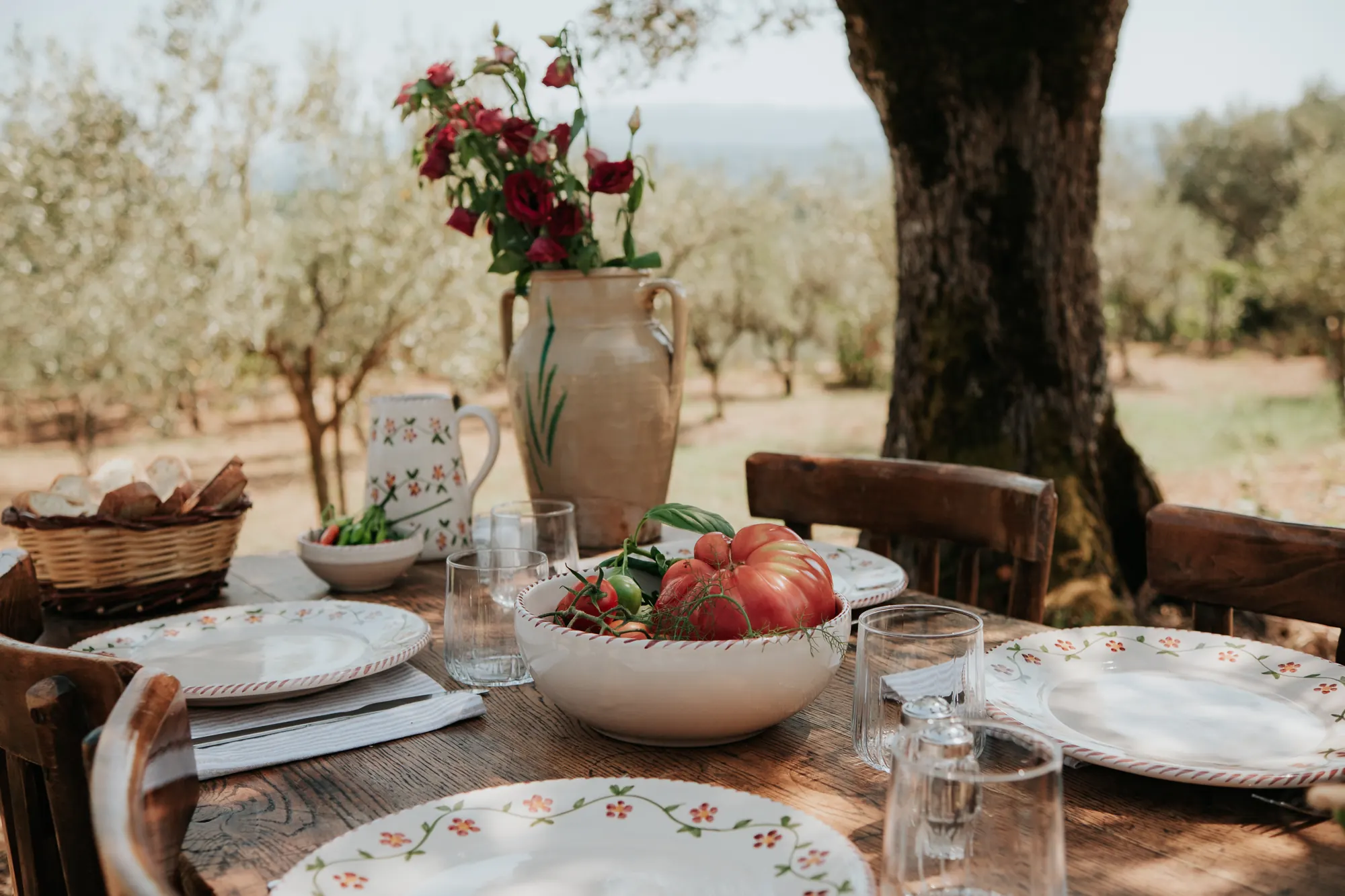 Table dressée sous un olivier avec la vaisselle Profumo di Primavera