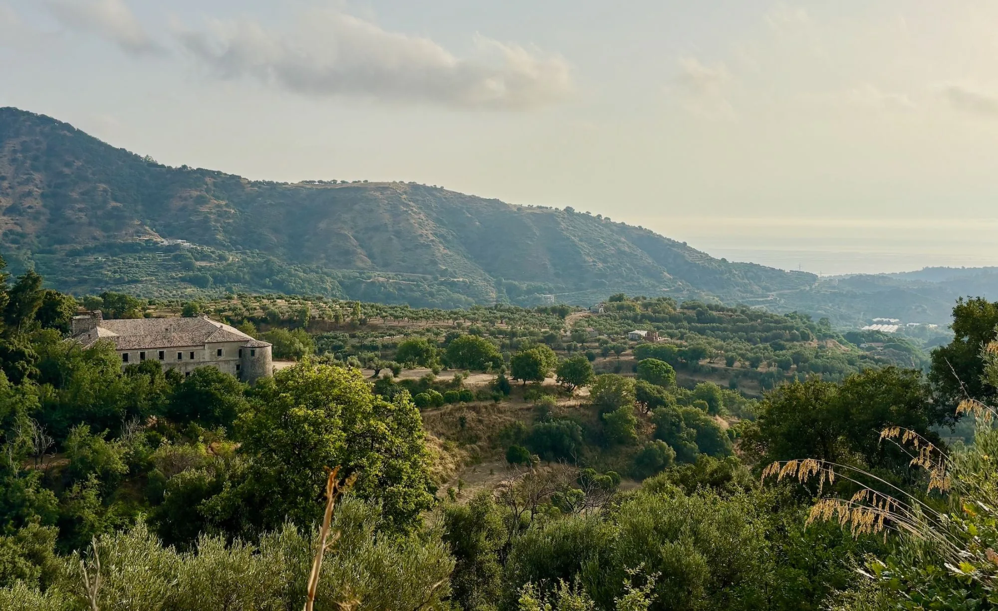 Collines couvertes d’oliviers et vieux monastère dans la lumière du soir, dans le sud de l’Italie