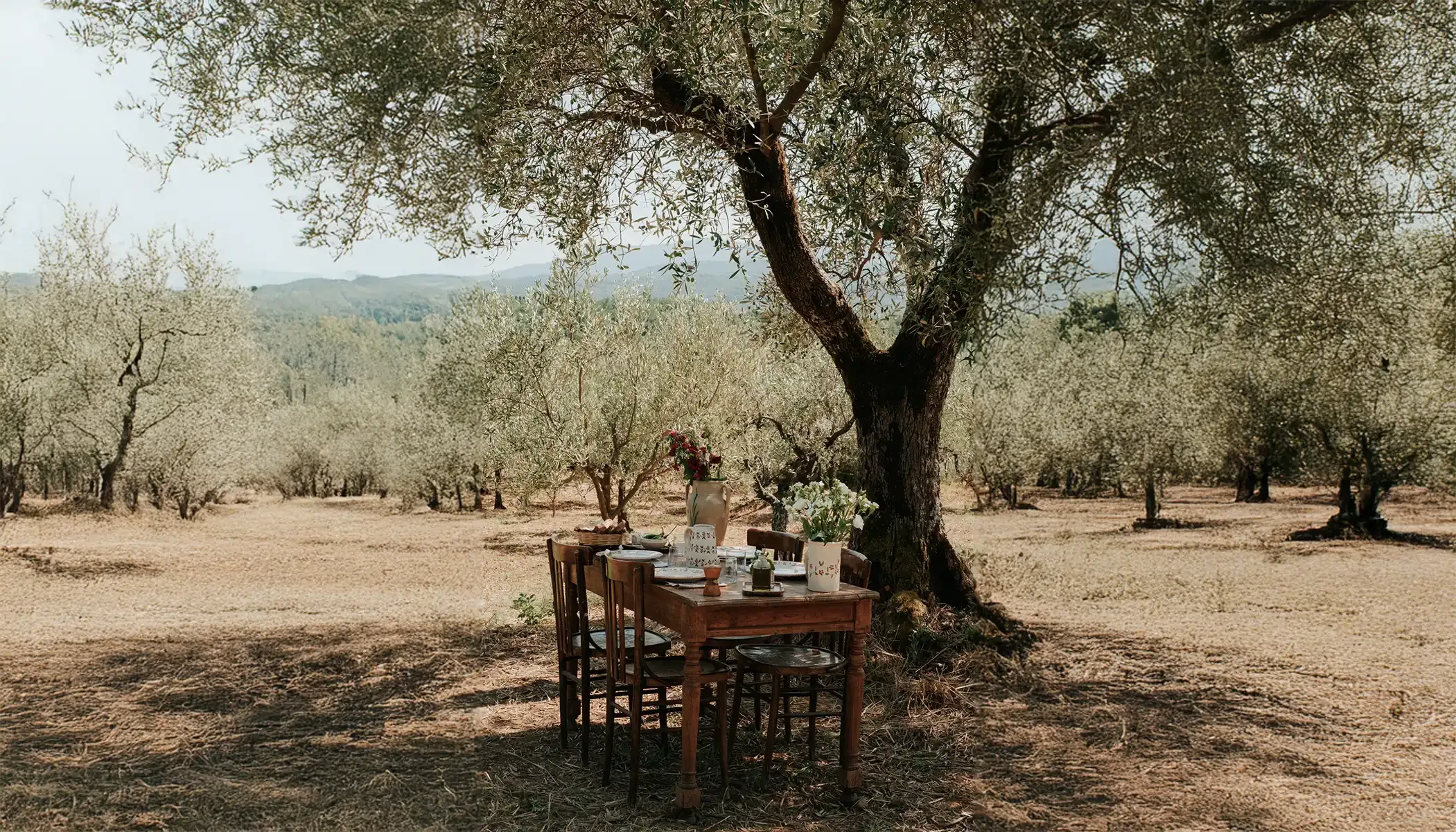 Table dressée sous un olivier avec la vaisselle Profumo di Primavera